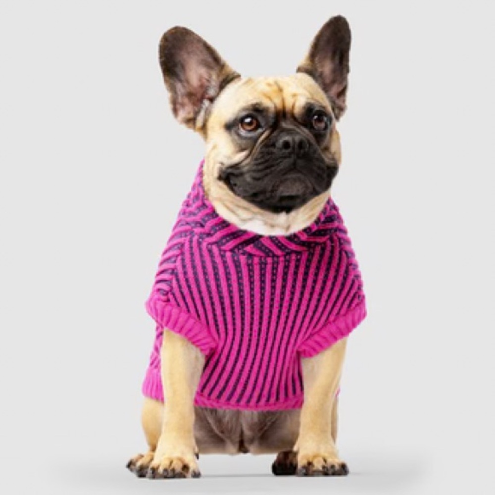 CANADA POOCH Icon sweater